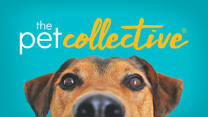 Watch The Pet Collective Tv